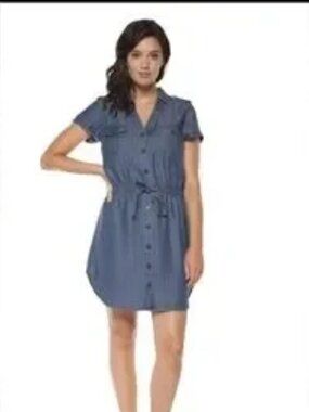 Dex Denim Dress